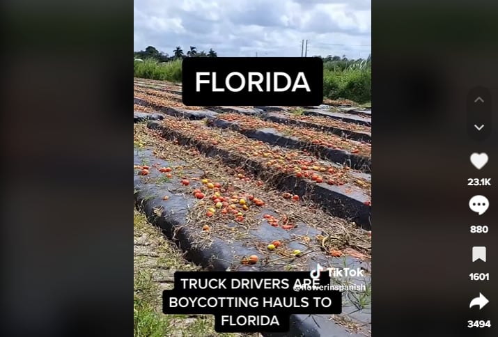 Empty Florida Fields: What Will Happen Now?