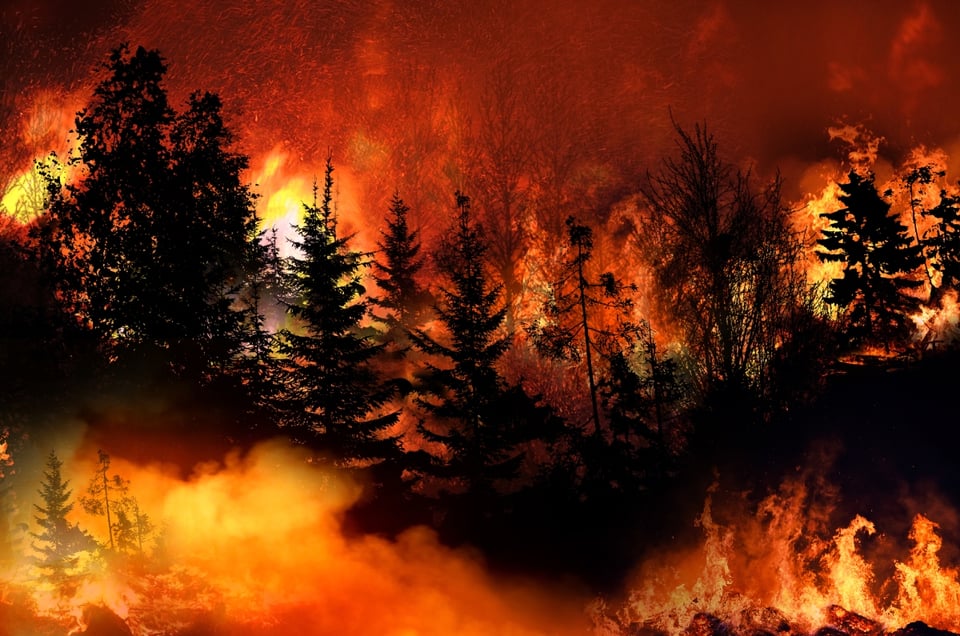 sol negro, luna roja, incendios forestales, guerra nuclear, Armagedón, MundoNOW
