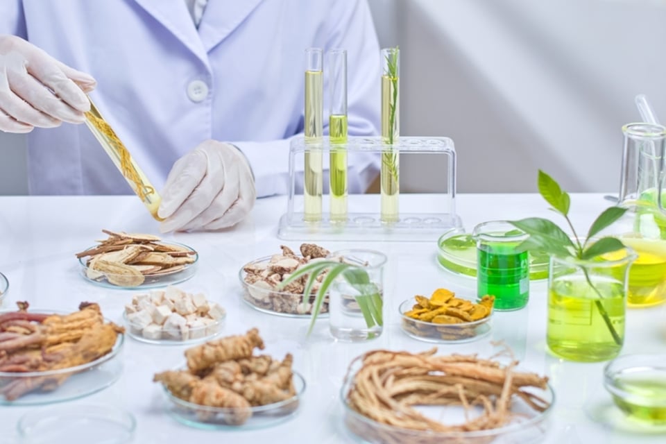 Tres hierbas medicinales que mejoran tu digestión, según la ciencia