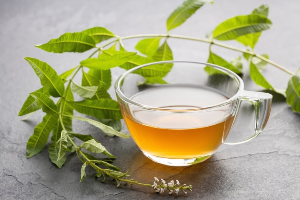 Tés para el colon irritable que beneficiarán a tu salud