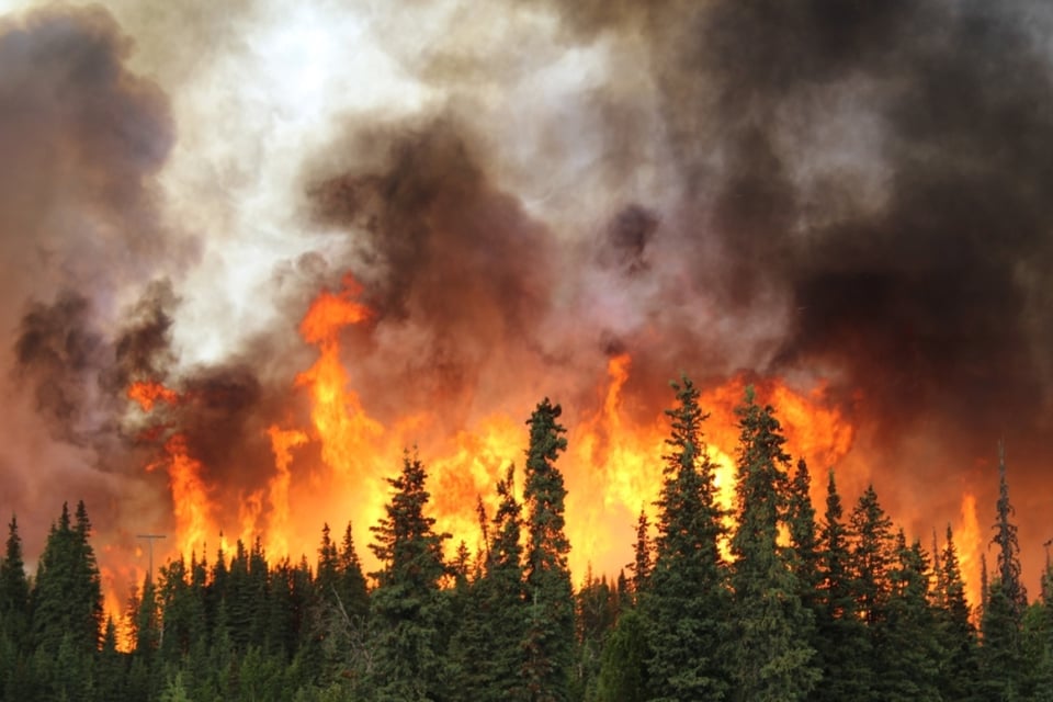 Incendios forestales en Georgia