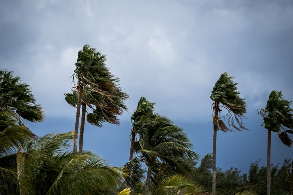 Primer tormenta de temporada