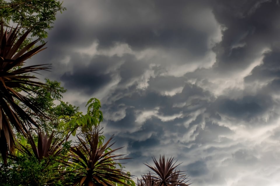 Tropical Storm Dolly Collapses, but Caribbean Islands Face Heavy Rain Threat