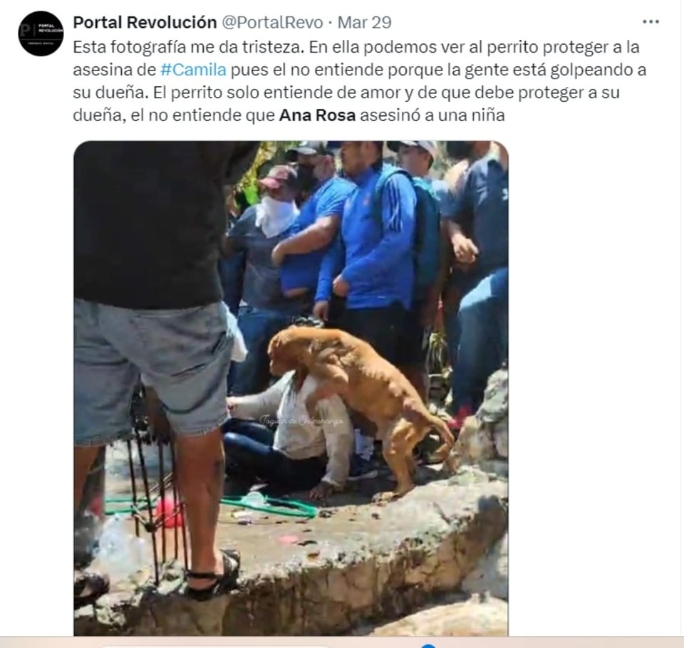 social networks, Facebook, envy, rescue, MundoNOW