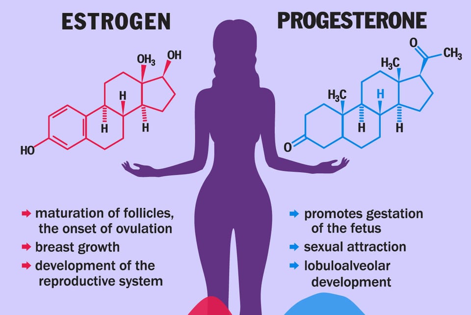 Progesterona, estrógeno, hormonas, comparación, cuerpo femenino