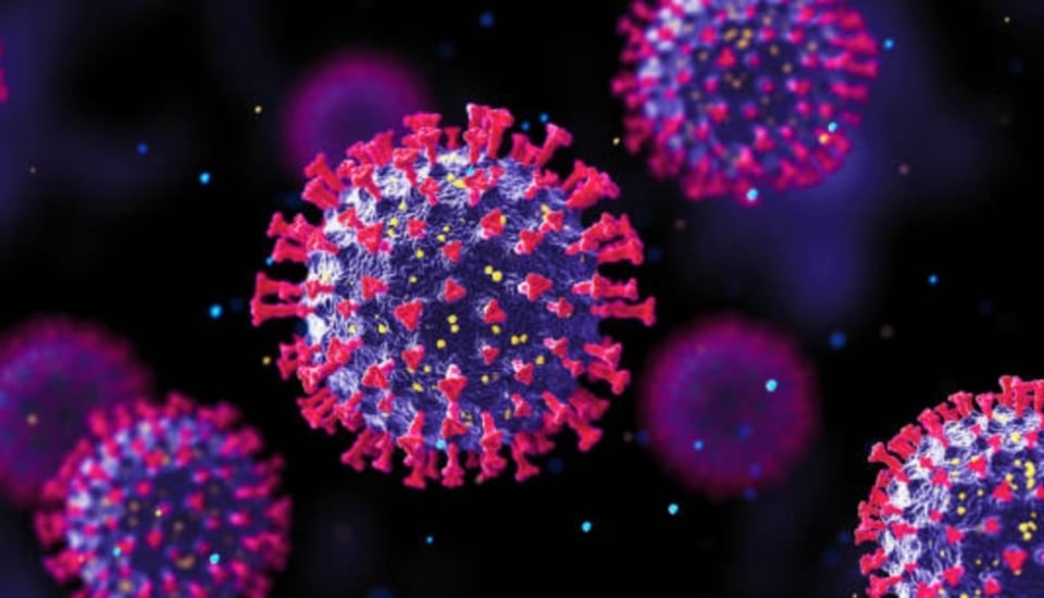 What is Parechovirus and how does it spread?