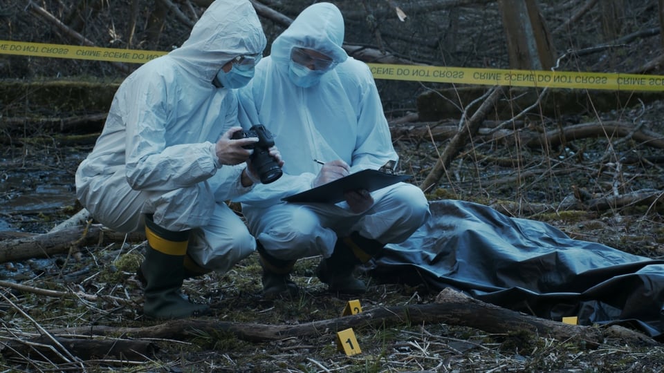suspicious death, identified victims, link, serial killer,