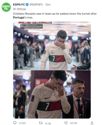 Copa del mundo