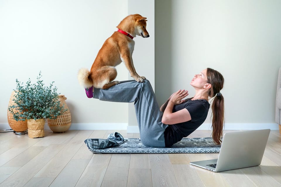 Doga, yoga, entrenamiento en casa, mascota, MundoNOW