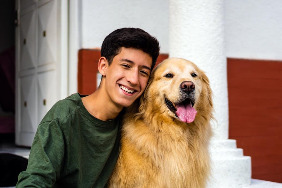 latino, adolescente, riendo, abrazando, golden retriever