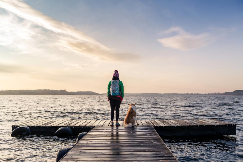 ¿Cuáles son los beneficios del yoga para perros?