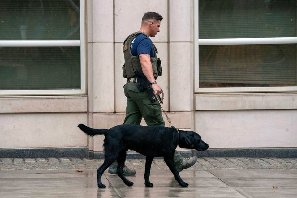 guerra contra las drogas mexicana, policía, perros, tráfico, crimen
