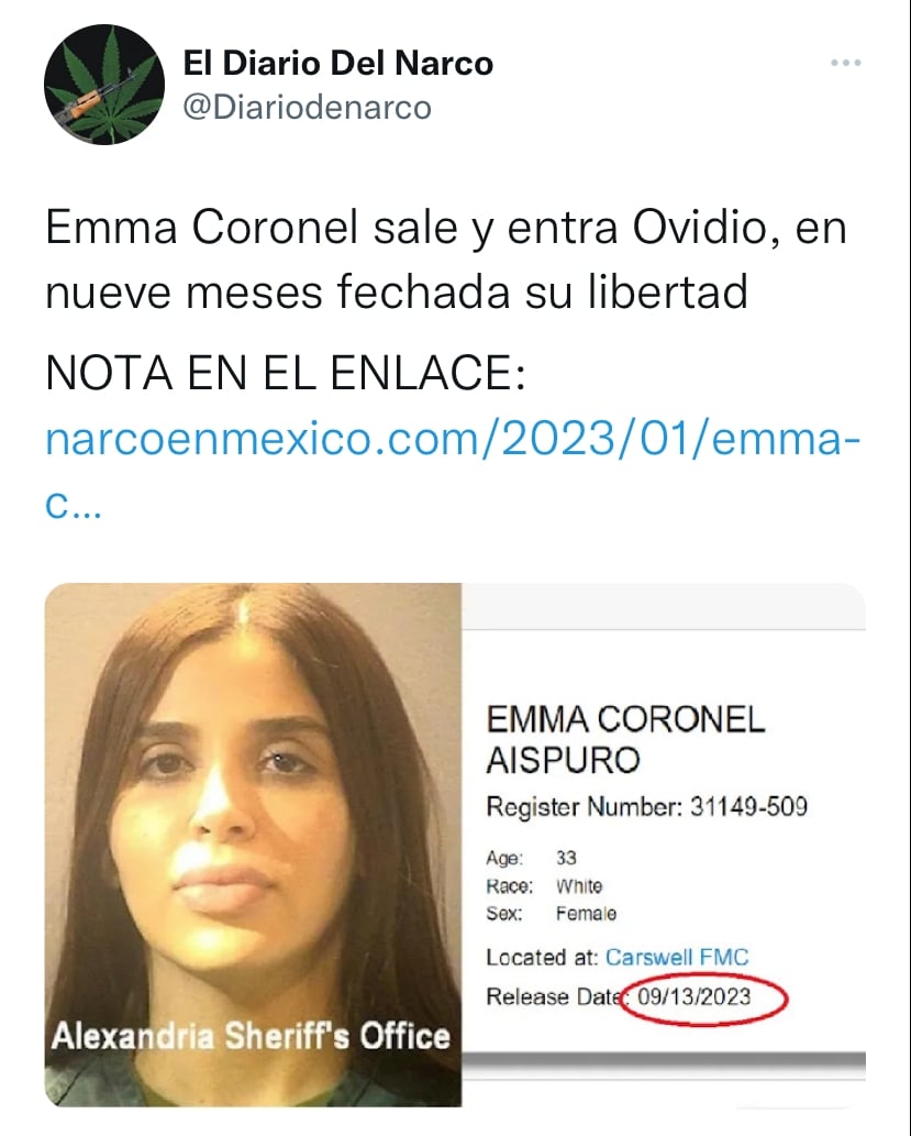 Programa podría dejar en "libertad" a Emma Coronel antes