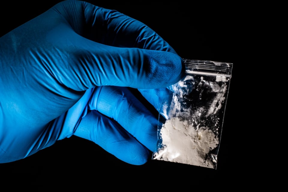 Advertencia, Prohibición, Narcotráfico, Epidemia, Cártel