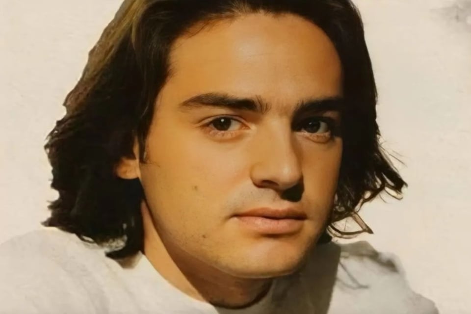 ¿Cómo murió el actor Gerardo Hemmer?