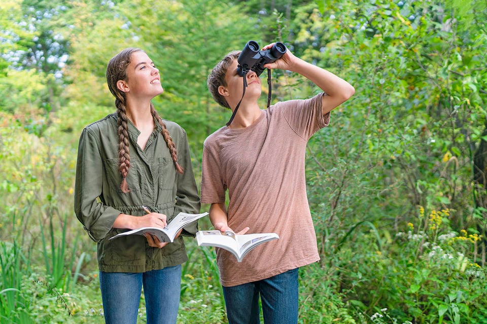 Guía de observación de aves en primavera para principiantes
