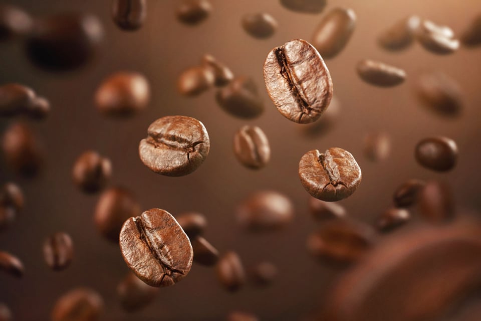 granos de café, granos, bebidas, sabor, MundoNOW
