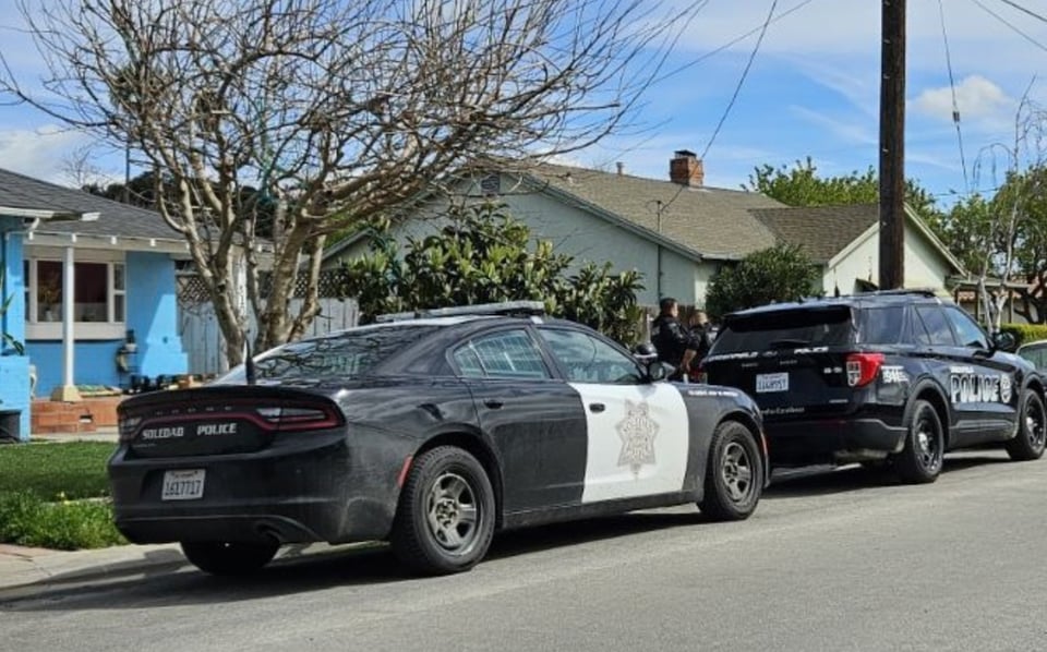 police, patrol, officer, USA, criminals
