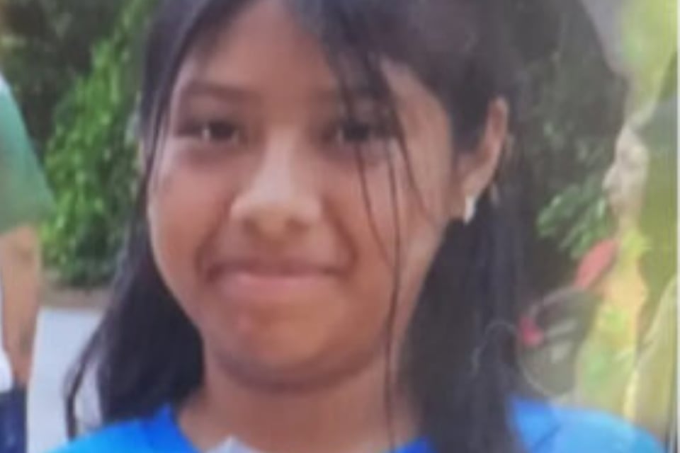 30,000 dólares, drones, K-9, voluntarios, MundoNOW