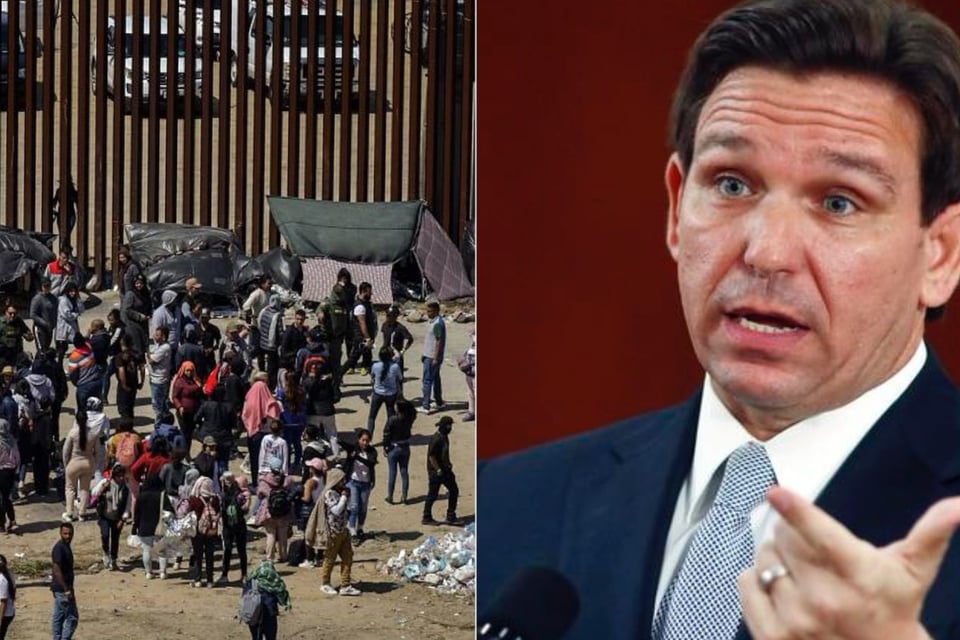 Florida immigration laws, texas sb 4, ron desantis