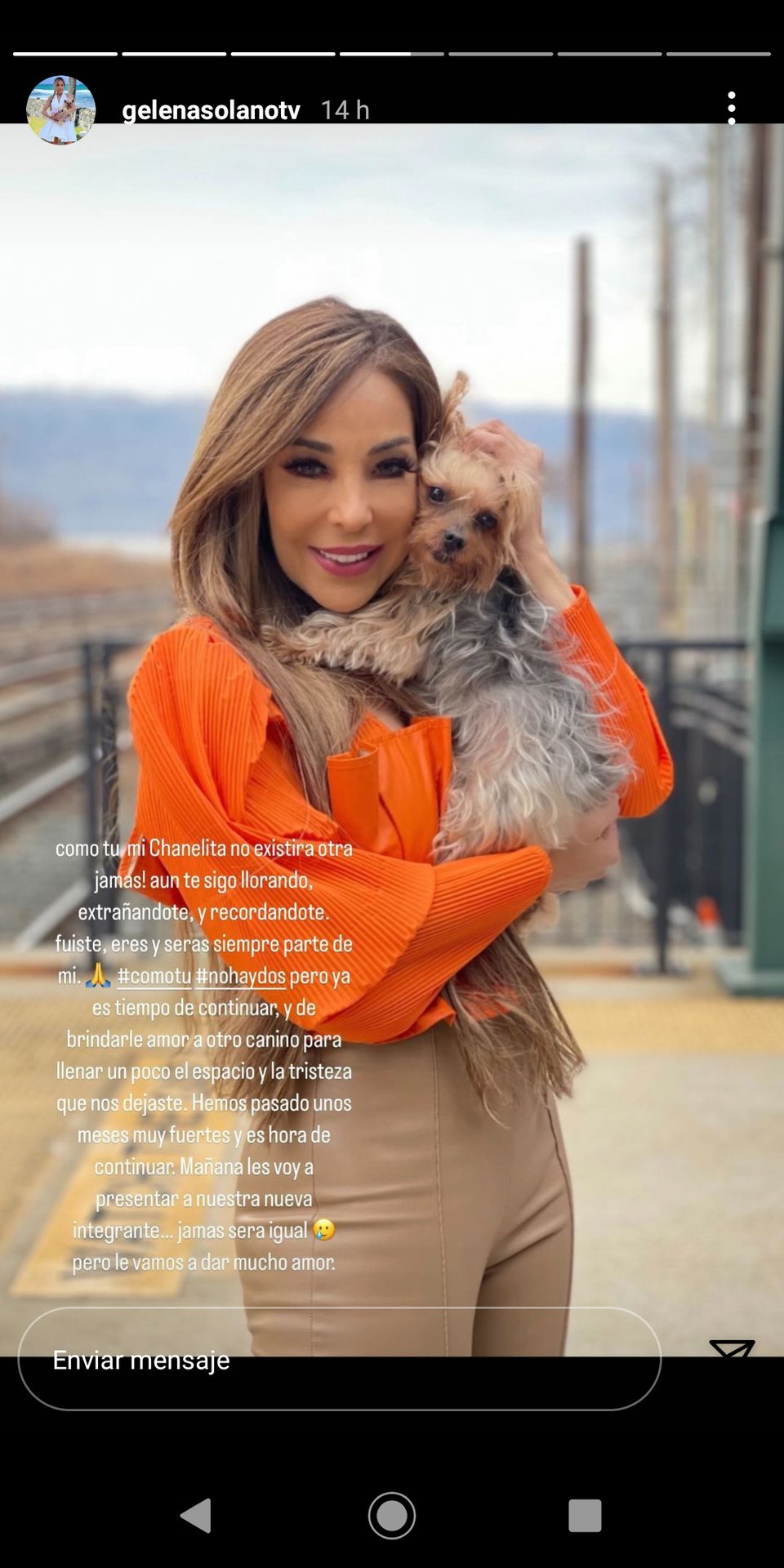 Gelena Solano toma decisión