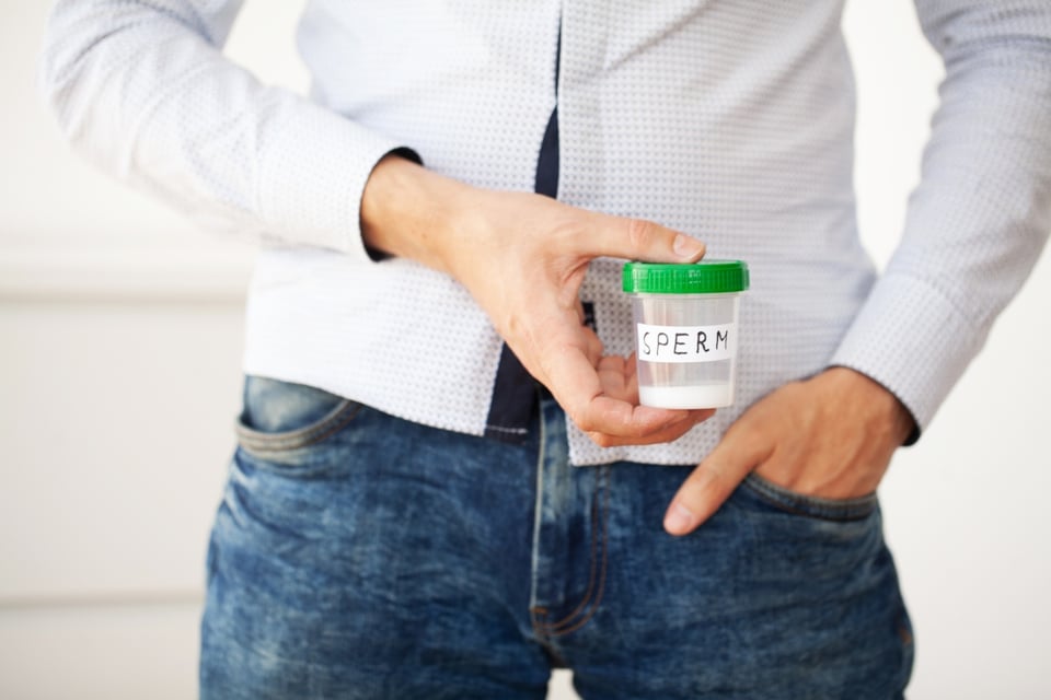 semen nutritivo, proteínas, fructosa, vitamina C, MundoNOW