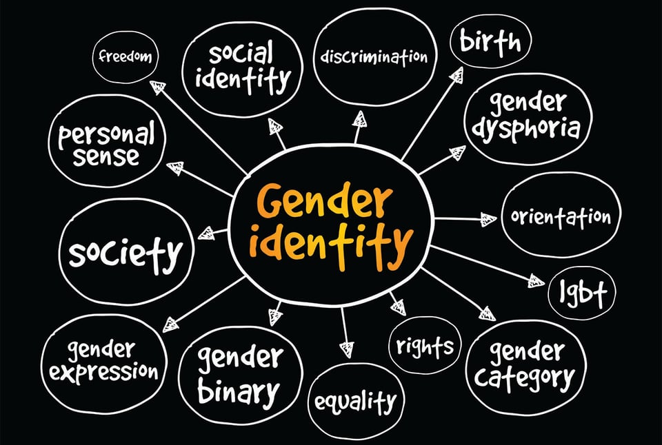 Género, identidad, diagrama, discriminación, MundoNOW