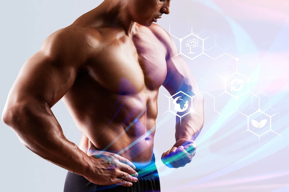 Testosterone truths: Understanding hormonal balance and men’s wellness