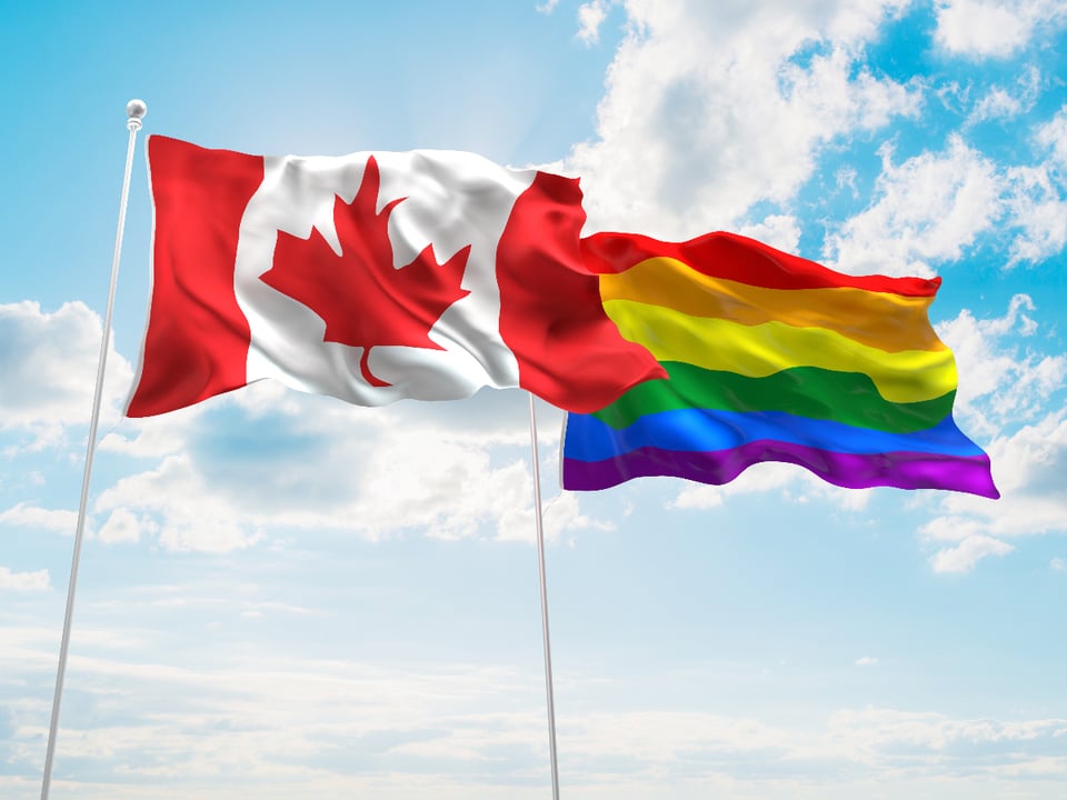 Gobierno, Canadiense, Alerta, Preocupación, Gays