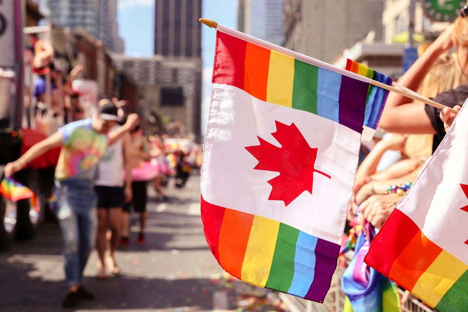 Viceministra, advertencia, canadienses, Canadá, USA