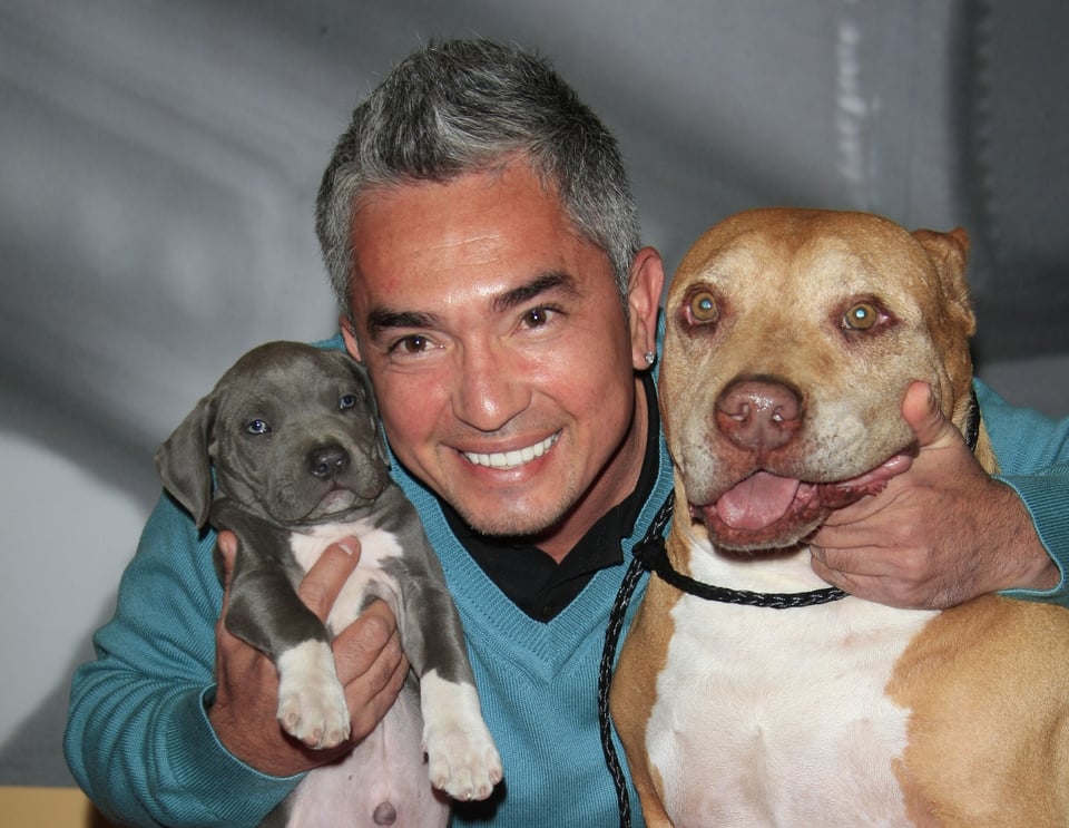 5 cosas que no sabías de César Millán, ‘el encantador de perros’