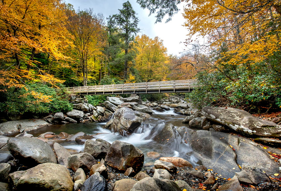 Parque Nacional Smokey Mountain, Arroyo, Cascada, Bolders, Otoño