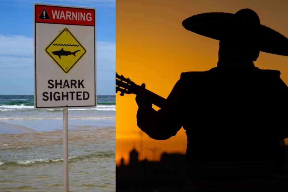 María Fernanda Martínez’s father gives terrifying details of her fatal shark attack (VIDEO)