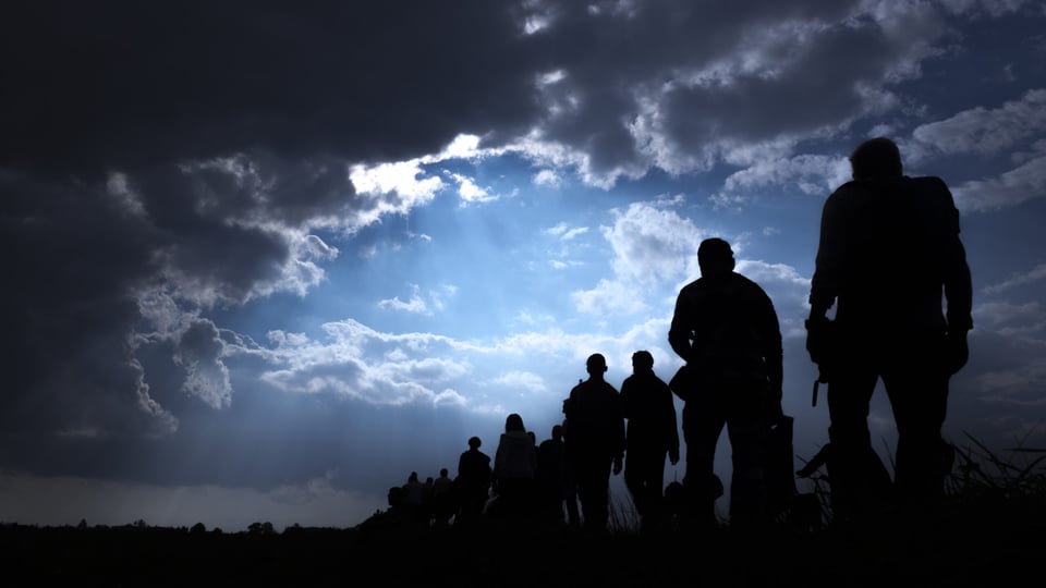 From employment to asylum: The different types of green cards
