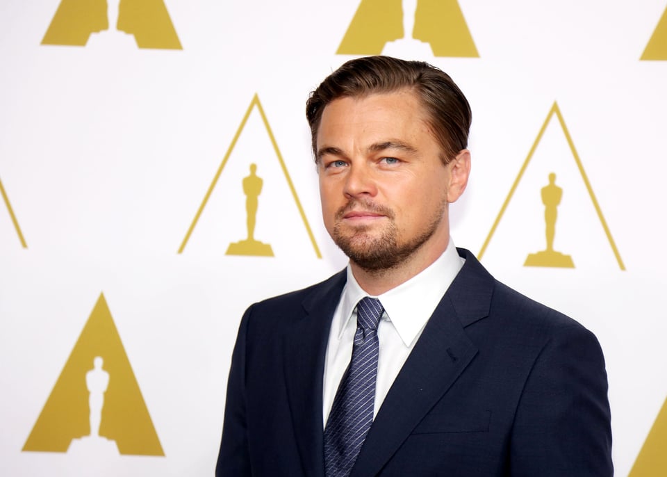 Leonardo DiCaprio, Hollywood, actor, celebridad, activista