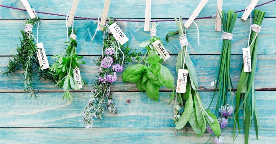 Cómo cultivar un jardín interior de hierbas que en verdad usarás
