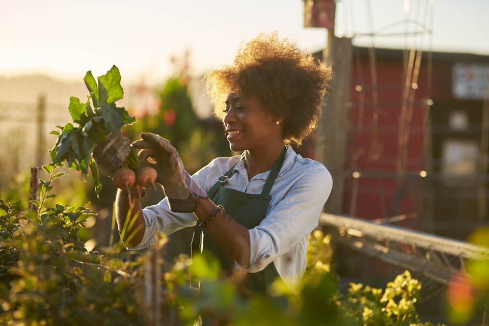 cultivar tu propia comida, plantas, mujer, jardín, balcón, casa