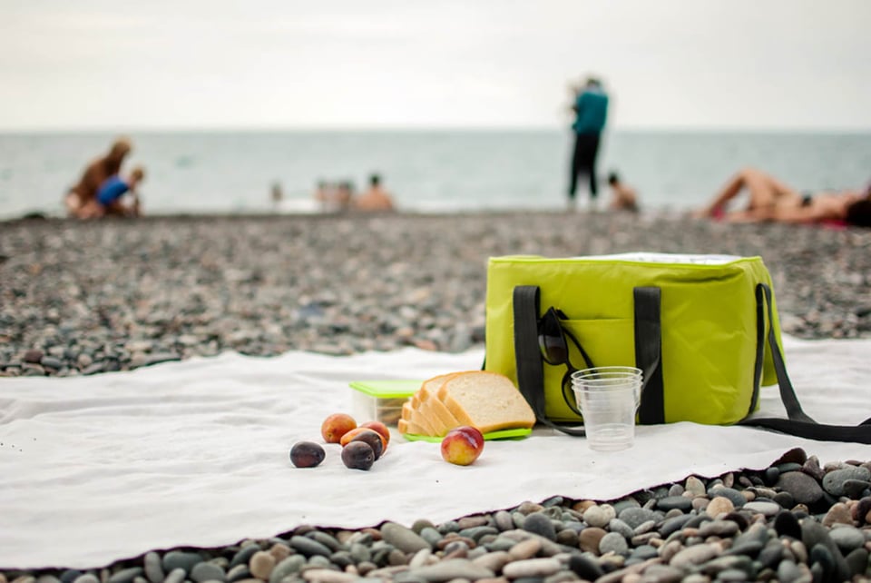 refrigerador, picnic, camping, viajes, seguridad alimentaria al aire libre
