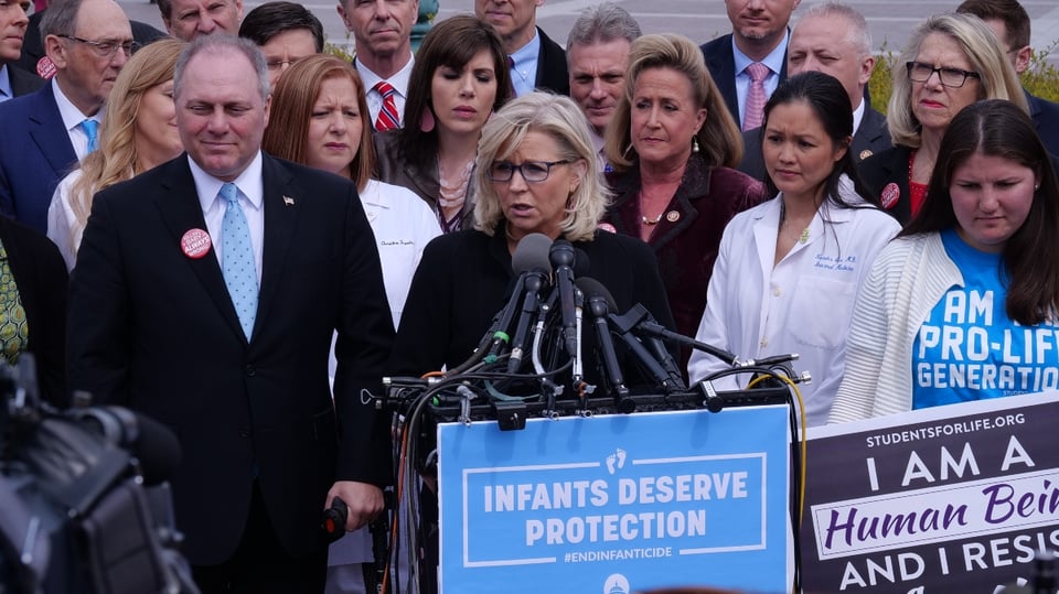 Donald Trump’s nemesis Liz Cheney loses Wyoming primary