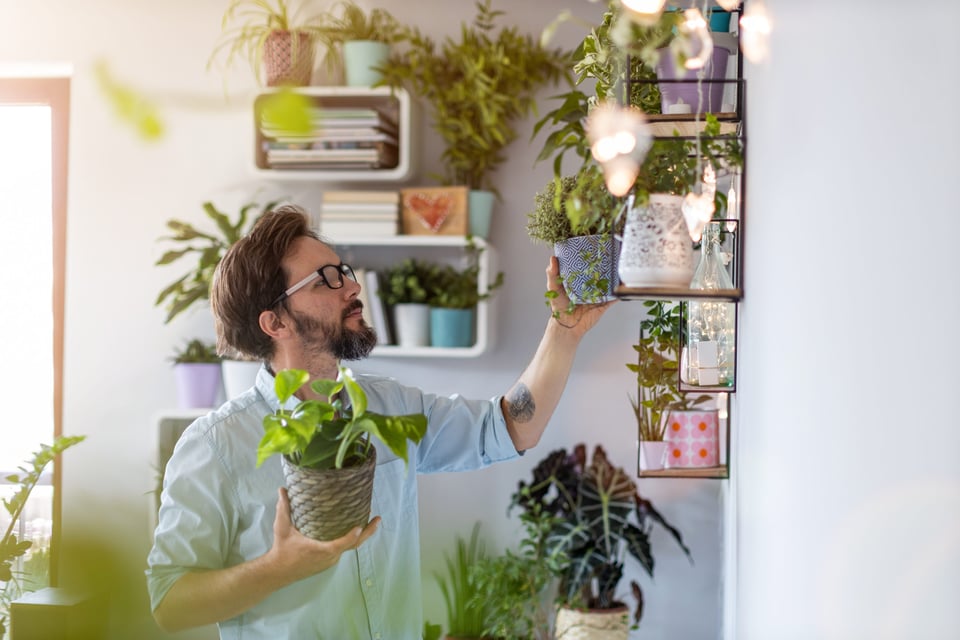 Ideas to decorate your home