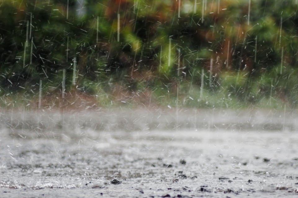 Florida, alerta, lluvias, EEUU, MundoNOW