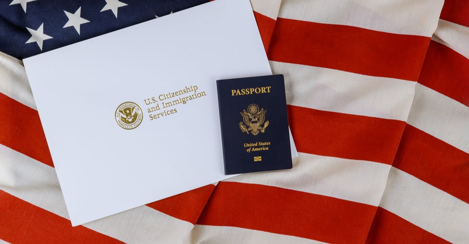 Which crimes affect the immigration process?