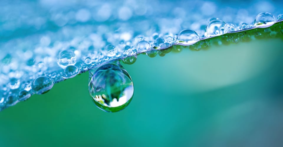 Bebe agua a primera hora en la mañana: 10 beneficios increíbles