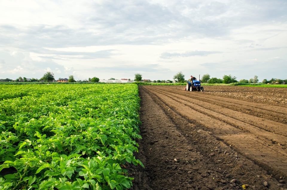 Day laborer shares video of crops going to waste in Florida