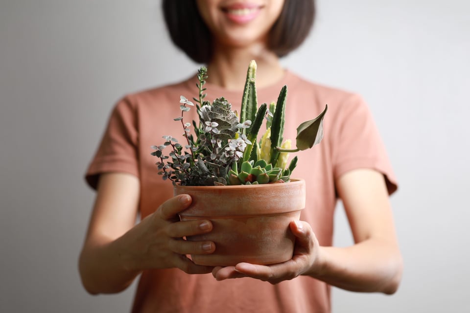 Ideas para hacer regalos originales
