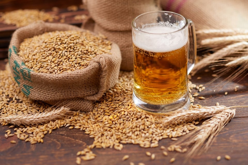 Cerveza, Ingredientes, cebada, vidrio, alcohol