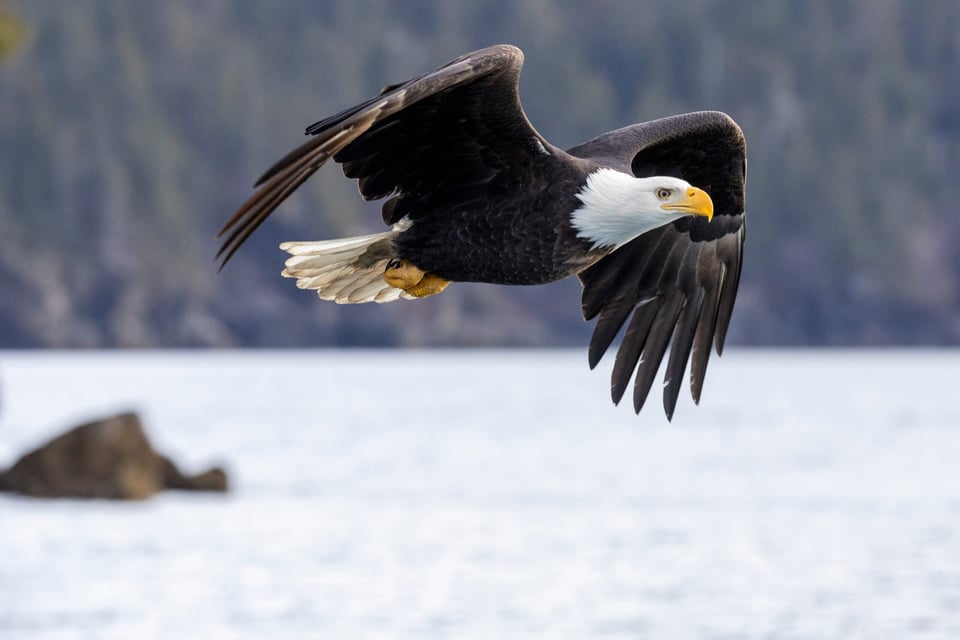 America's Biological Diversity Is Astounding