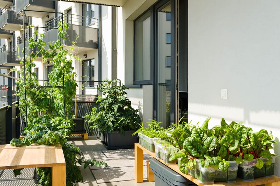 Enfrenta los elementos: consejos para conservar tus muebles de exterior en buen estado