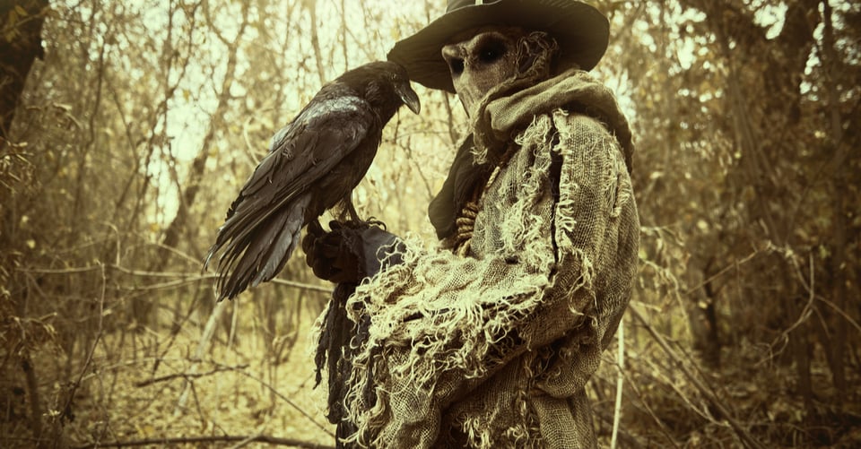 A dressed up for Halloween in a scarecrow costume