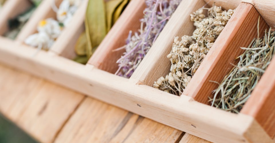 Raíces para la vida: el poder de las plantas y hierbas medicinales